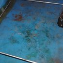 유은빌딩 이미지