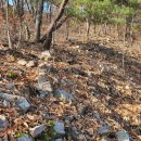 구룡산성九龍山城 이미지