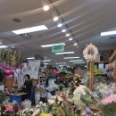 소문난공판장 | 양재 꽃시장 플라워스토리｜스냅 촬영용 맞춤 꽃다발로 인생샷 건지고 온 후기