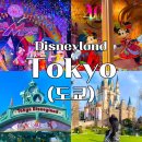 씨스페이스 편의점 | 🎀도쿄 디즈니랜드 다녀온 후기✨ 디즈니랜드 vs 디즈니 씨 비교/일정 팁 총정리