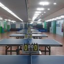 힐링탁구 이미지