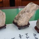 금화장 - 안양시 만안구 장내로150번길 28 | 금화장