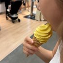 내계천 | 체험단으로 데이트하는 8월 초중순 일상 | 더위먹어도 GO