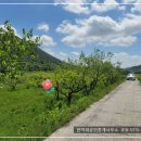경남고성부동산 - 구만면 감나무가 있는 토지 전원주택지매매 418제곱미터 (126) 이미지
