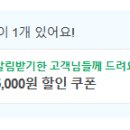 보벨르뷰티