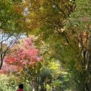 계란마을 이미지