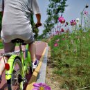 응봉 자전거대여소 이미지