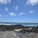 다이소표선점 이미지