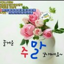 인셀덤 은혜 이미지