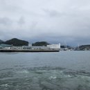 경도회관 | 여수 맛집 방문 경도회관 (내돈내산)_하모 샤브샤브