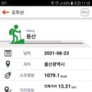 언양알프스시장 이미지