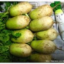 후계자주말농장 이미지