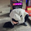 왕게임장 이미지