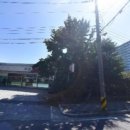 주문진약국 이미지