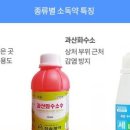 가정요가 이미지