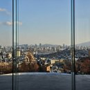 그랜드플랜트 이미지
