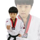 브레인태권도 이미지