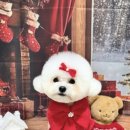 댕그랑댕 이미지