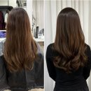 투다리(햇빛점) | 건대입구역 미용실 추천 [헤어톡톡] 하호니코크리닉 후기