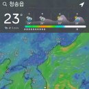 아오리 이미지