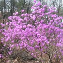 가정1-02-017 이미지