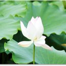 충주자연생태체험관 이미지