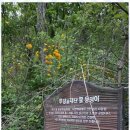 백점사 | 인천용한점집 인천 칠성당 애기보살의 특별한 점사 경험기