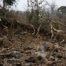 동광리-14 이미지