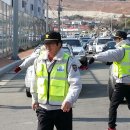 덕포 펭귄 이미지