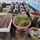 해인자연치유체험민박 이미지