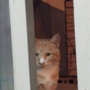 소문난집 이미지