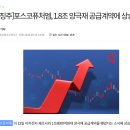 포스코퓨처엠 / 양극재 음극재 / 이차전지