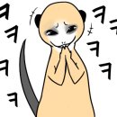 하삼동커피광교