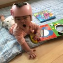 [17년 임시저장글]생후 9개월 아기발달/ 만 8개월 꿀이잼이 육아일기