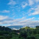 훈 농장 이미지