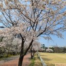 구청 광장 대로변 이미지