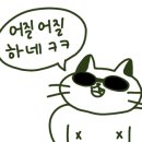 단양갱