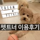 펫트너 | 서울 잠실 펫시터 :: 펫트너 이용 후기 ♥