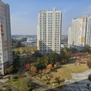 이서혁신123공인중개사사무소 이미지