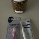 바나개 | 원주 애견유치원 바나개, 모카의 세 번째 유치원⭐️ 첫 등원!!!