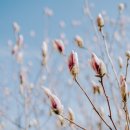 오늘은 선물 이미지