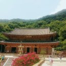 노래하는숲 네이버블로그