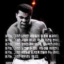 마타수학학원 | 요네즈켄시 2025 월드투어 / JUNK