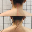 성산제이물산(주) | 창원 상남동 등 관리 테라피 1회만으로도 효과 있는 체형관리