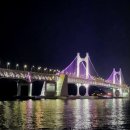 해바라기참치회 이미지