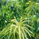 무지개삼성약국 이미지