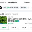 동김제농협 유러피안샐러드 4종 1kg 대용량 구매후기