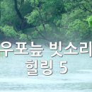 우포의 숲속 이미지