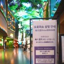 서울전자오락실 | 인스파이어짱오락실 가격 이용팁 정각엔 오로라쇼 하루가 모자라!