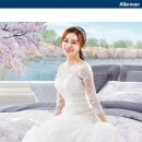 [내돈내산/5년리뷰] 알레르망 사용 후기
